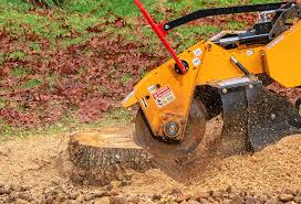 Best Lot and Land Clearing  in Concord, AL